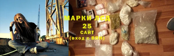 хмурый Алексин