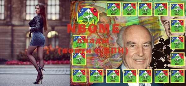 хмурый Алексин