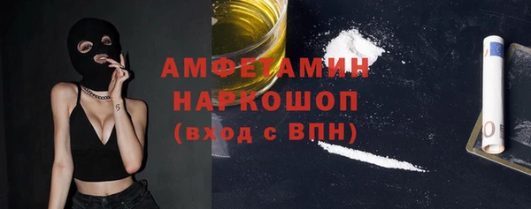 хмурый Алексин