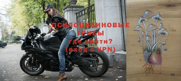 хмурый Алексин