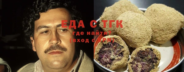 хмурый Алексин