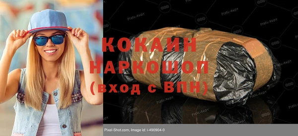 хмурый Алексин