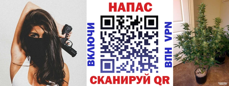 Канабис Ganja  Далматово 